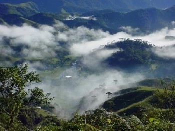 Serra do Mar. Foto: Ibama